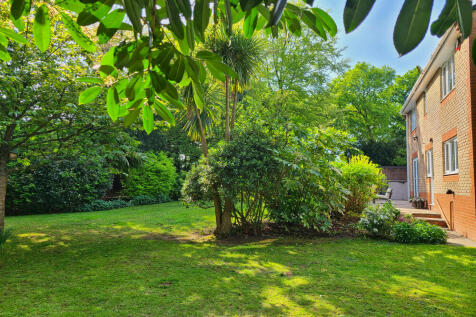 Property Image 37