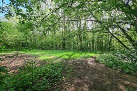 Nearby Woodland