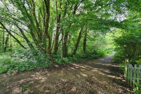 Nearby Woodland