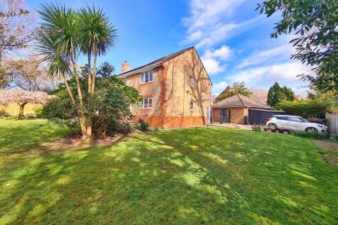 Property Image 41