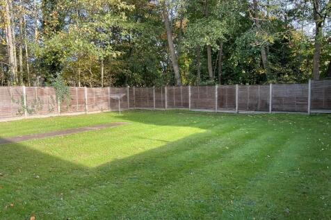 Communal Garden.jpeg