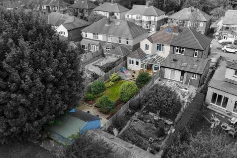 DJI_20240830140721_0974_D_1-1.jpg