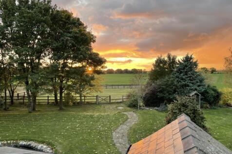gardensunset