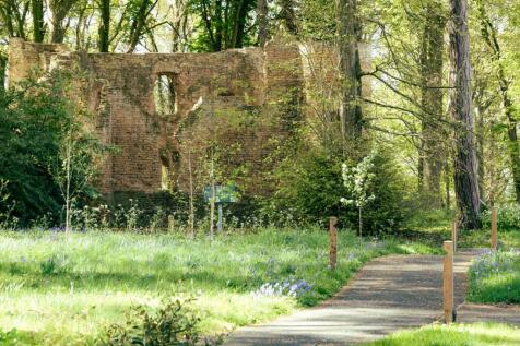 Woodland Walks at The Lodge