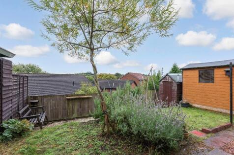 Back Garden