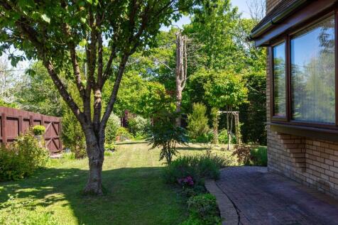 Property Image 55