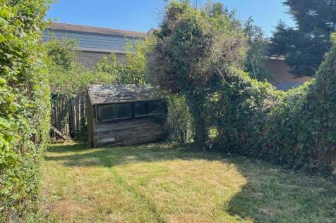 Garden 30.04.25.jpg