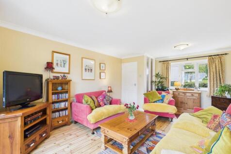 Living Room Giraffe (4).jpg