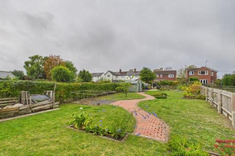 Rear Long Giraffe.jpg