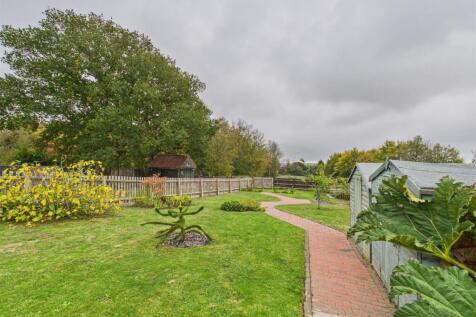 Garden Giraffe (3).jpg