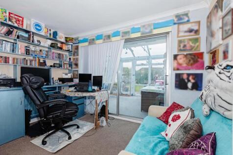 Hammy Close.jpg