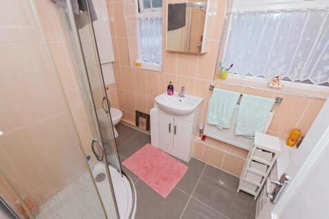 Hammy Close_14.jpg