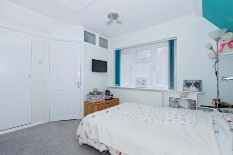 Hammy Close_17.jpg