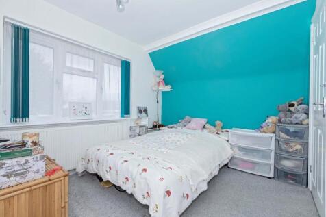 Hammy Close_18.jpg