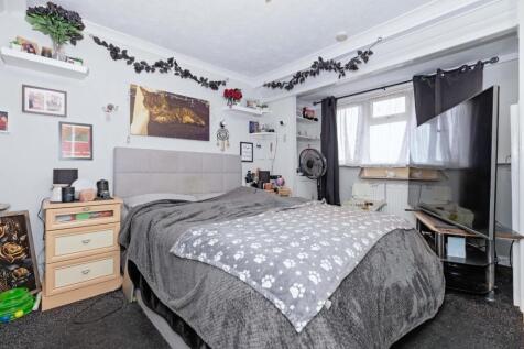 Hammy Close_20.jpg