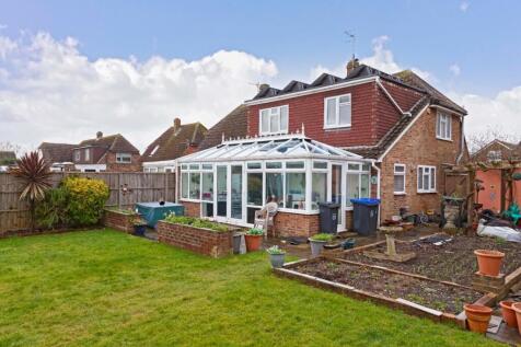 Hammy Close_10.jpg