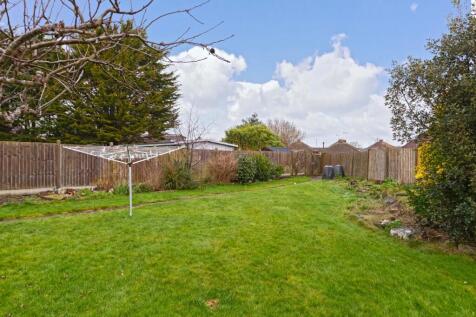Hammy Close_11.jpg