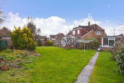 Hammy Close_12.jpg