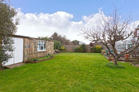 Hammy Close_13.jpg