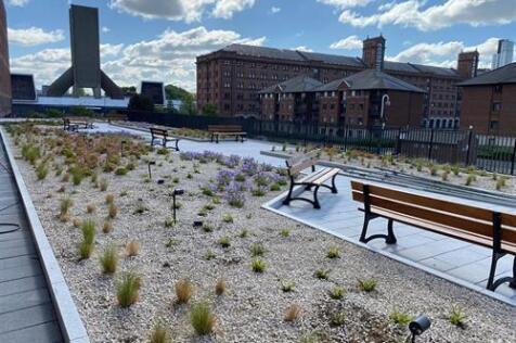 Communal Terrace