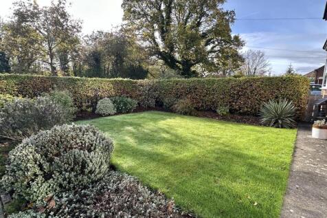 Luke Miller &amp; Associates