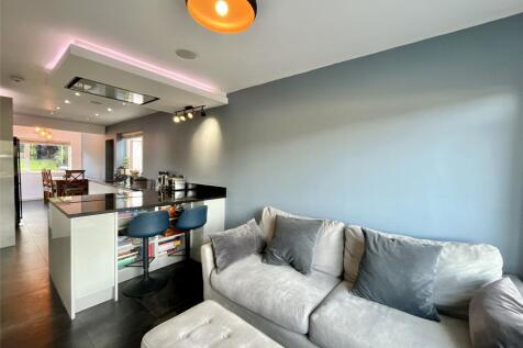 Kitchen/Family Area