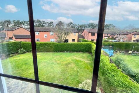 Window View