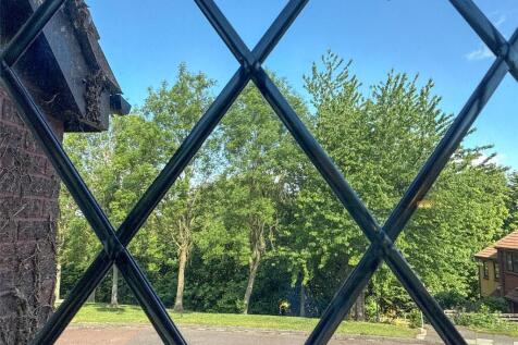 Window Outlook