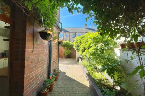 View From Patio Door
