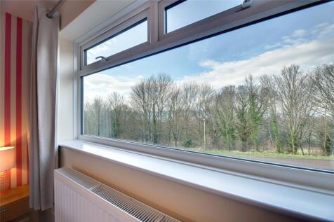 Window View