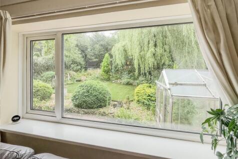 Lounge Window