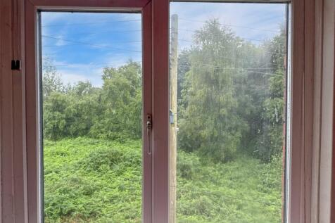 Window Outlook