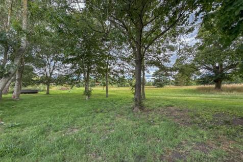 Communal Woodland