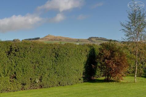 View from garden 