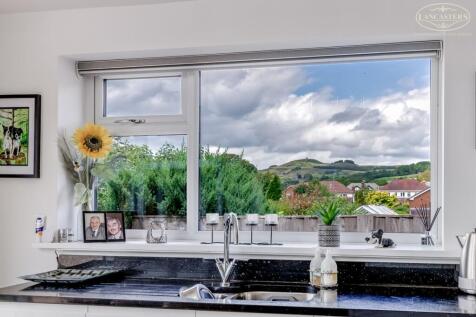 View From Kitchen Window
