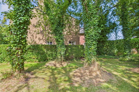 Property Image 46