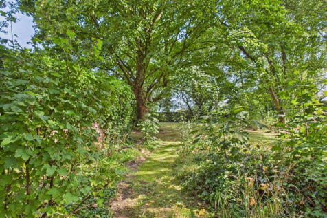 Property Image 49