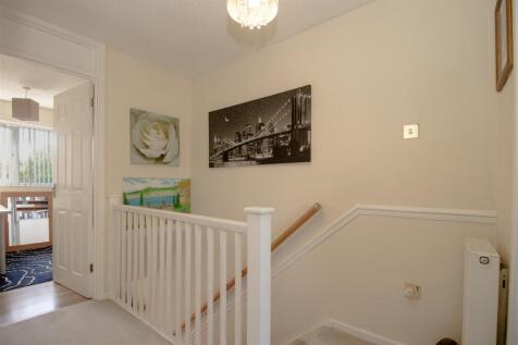 IMG_4631 copy.jpg