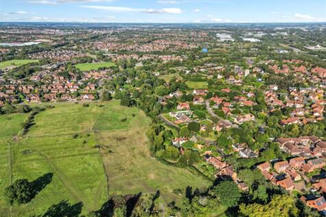 loughton7.jpg