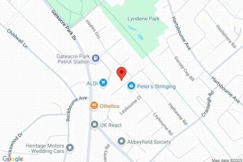 Google Maps Image