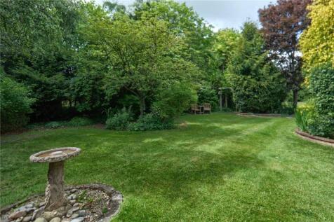 Side Garden