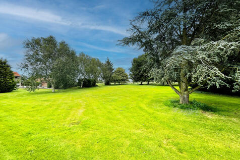 Extensive Grounds