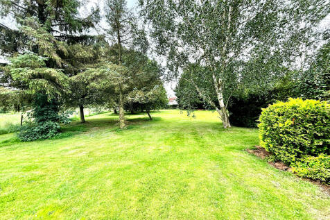 Extensive Grounds