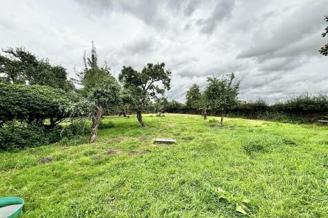 Orchard