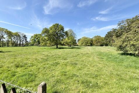 Open Pasture Land