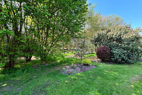Woodland garden