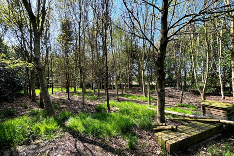 Woodland garden