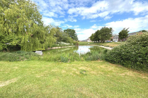 Village Pond