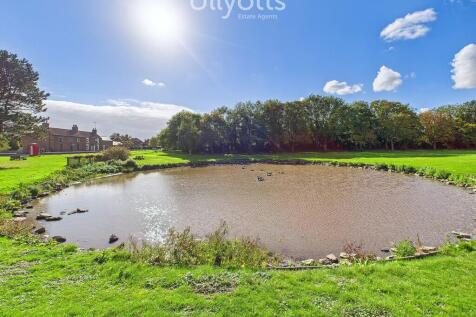 Village pond 