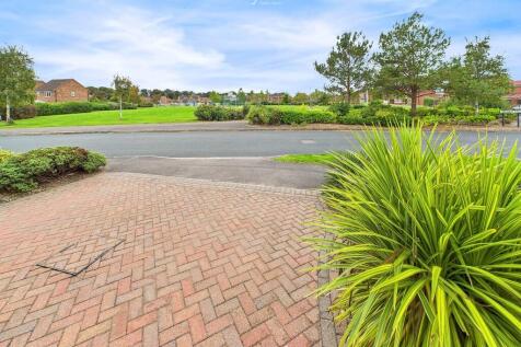 View from Propert...